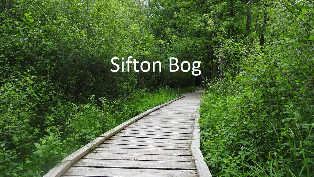 image column 3 widget_1681330744860